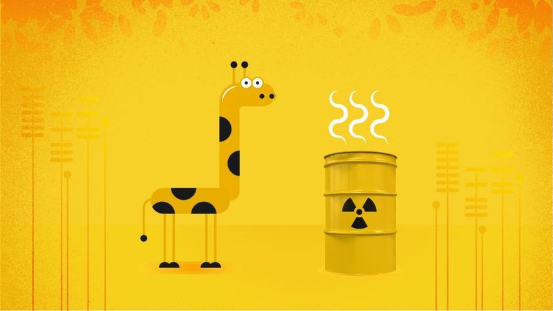 Lietuvių kūrėjų animacijos programa